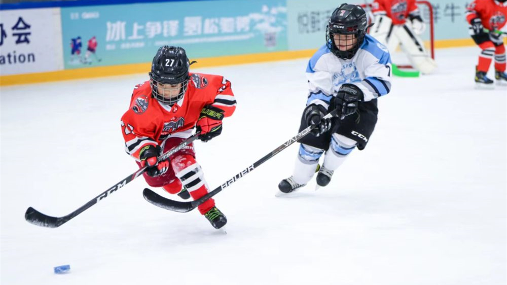 2023-2024北京市青少年冰球俱乐部联赛开赛