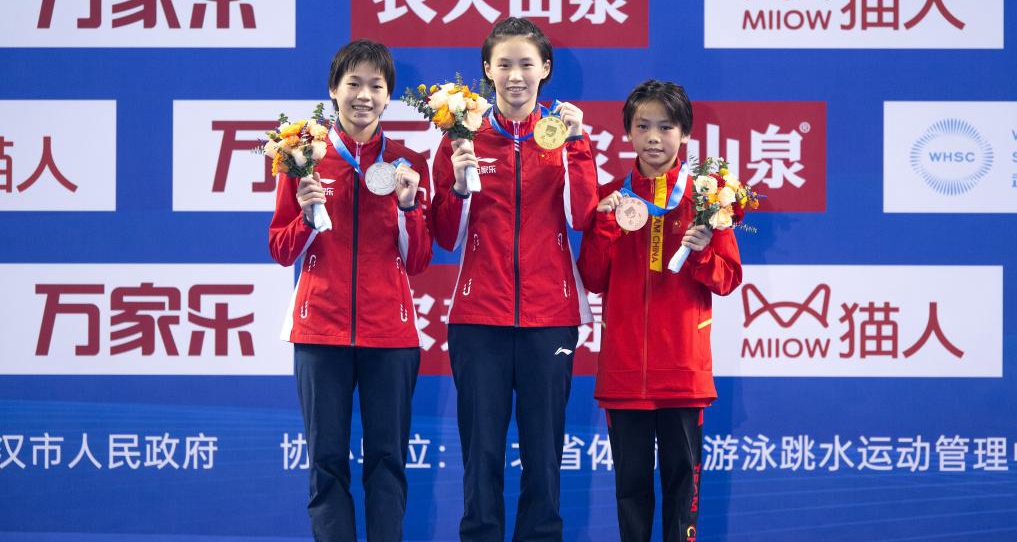 跳水——全国锦标赛：女子10米台决赛赛况